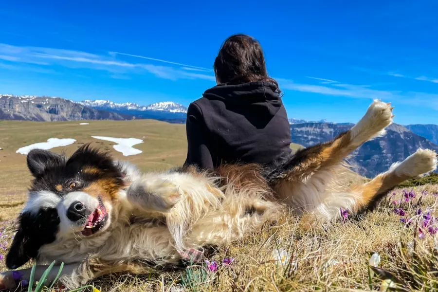 Stress Relief Techniques Guide